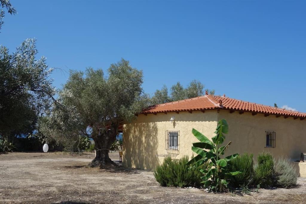 House By The Sea At Skaloma, Loutraki Villa Vuliagménisz-tó Kültér fotó