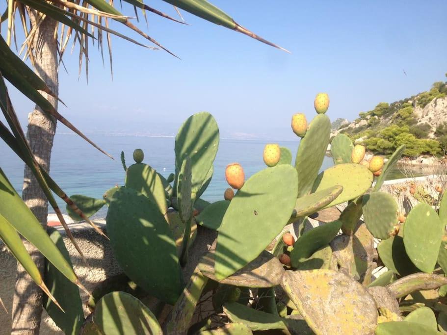House By The Sea At Skaloma, Loutraki Villa Vuliagménisz-tó Kültér fotó